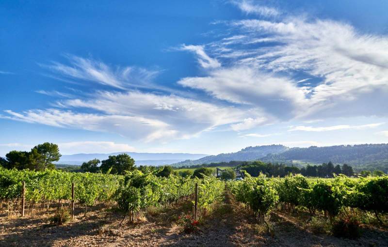 Découverte du vignoble et de ses dégustations avec de nombreux restaurants pour profiter de momentsd'exception