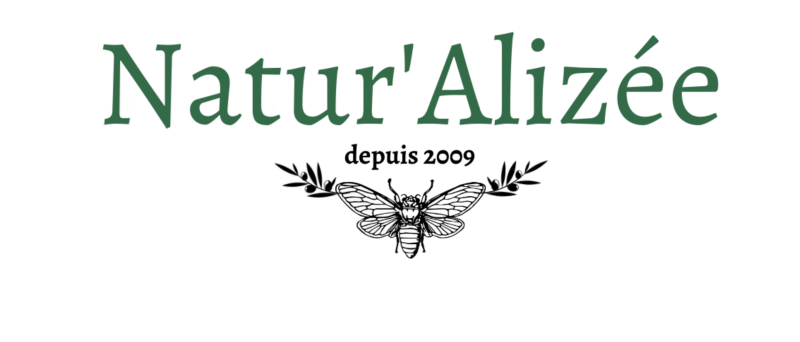 NATUR'ALIZEE ENTRETIEN ESPACES VERTS ET RAMONAGE